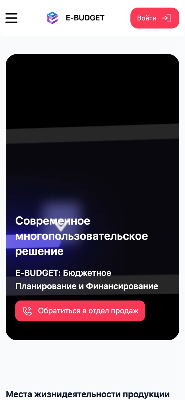 e-Budget Asia screenshot